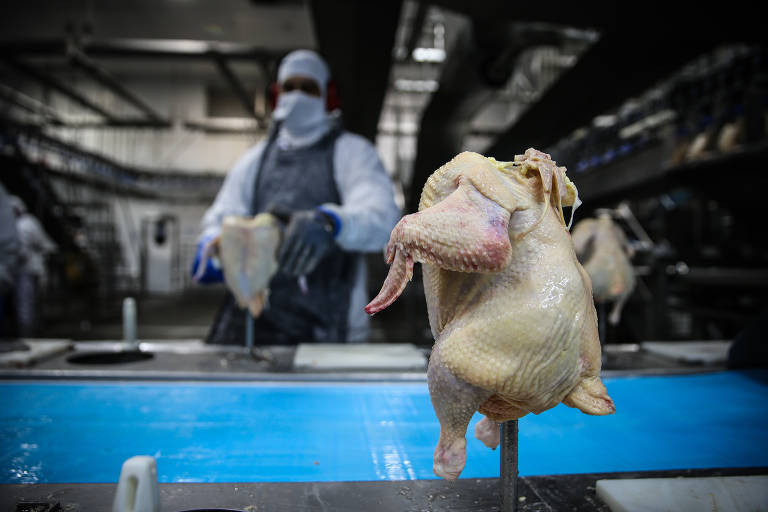 Abatedouro da cooperativa C.Vale, em Palotina, no interior do Paraná
