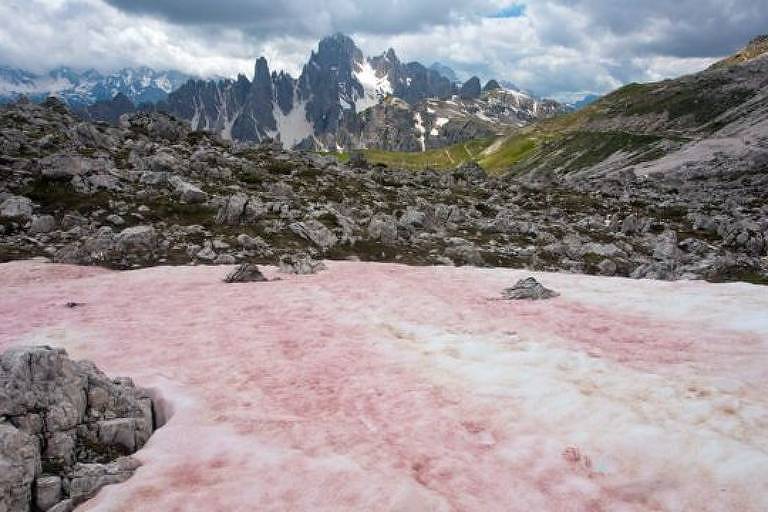 A neve vermelha aparece nos Alpes durante o fim da primavera e o início do verão, quando o derretimento do gelo libera nutrientes para o crescimento de algas