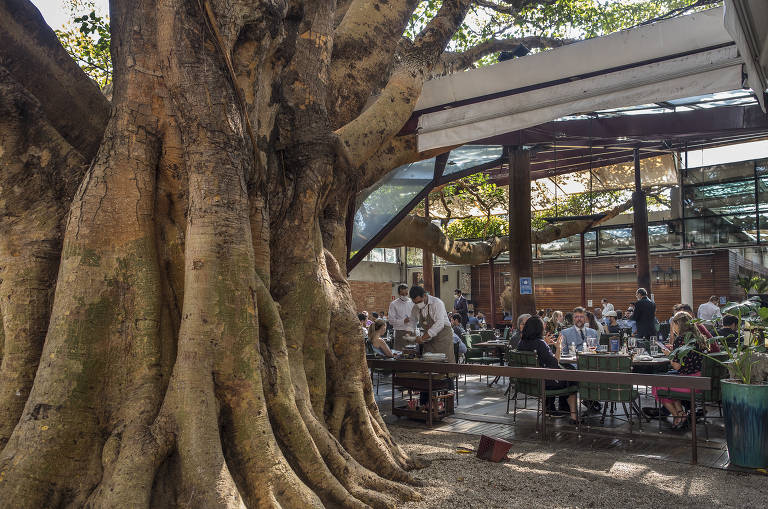 Conheça restaurantes que ficam nos Jardins, em São Paulo