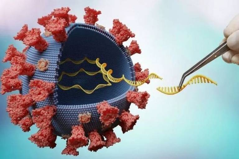 Estudo revela mecanismo de alta transmissão do coronavírus