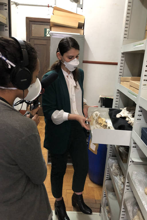 Paleontóloga Ana Bottallo abre gaveta em estante para mostrar fóssil do crânio do tapuiassauro para a repórter