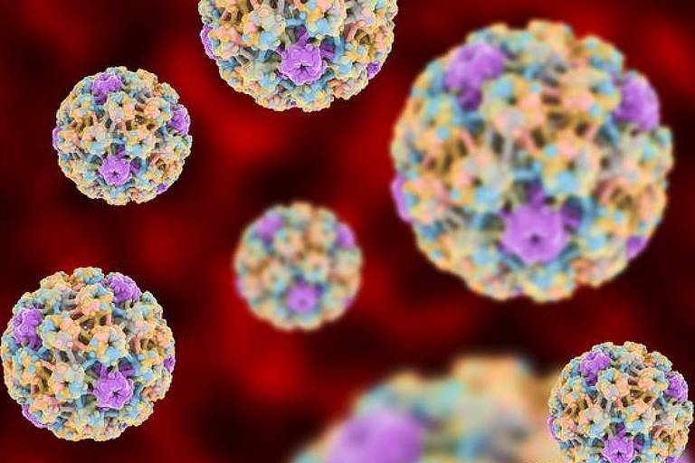 Vacina contra HPV reduz risco de câncer do colo de útero, diz estudo