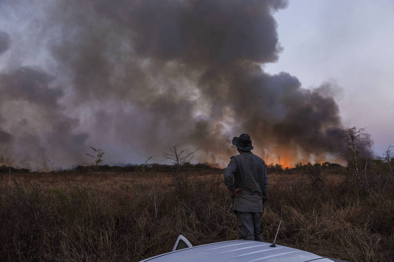No Pantanal, fogo reaparece com força em rodovia turística de Mato Grosso