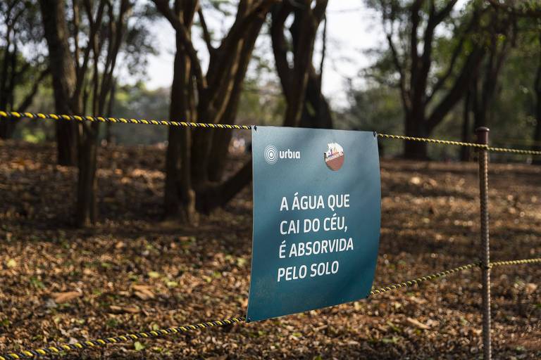 Foto mostra área de recuperação natural, onde a circulação de pedestres está proibida,  no parque Ibirapuera