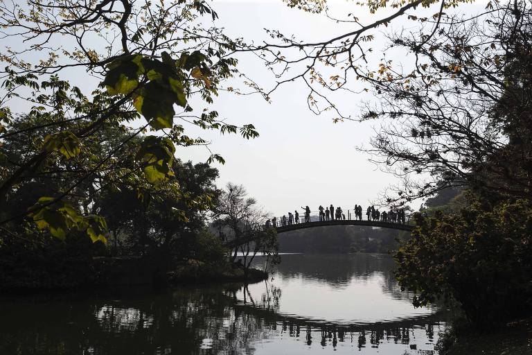 Homem é preso em flagrante após acusação de injúria racial em jogo no Ibirapuera