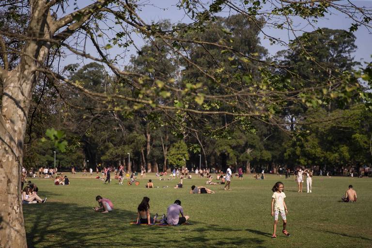 Vemos um grande gramado, com uma árvore à esquerda, em primeiro plano, emoldurando a vista de várias pessoas sentadas e andando pelo verde; ao fundo um maciço de árvores