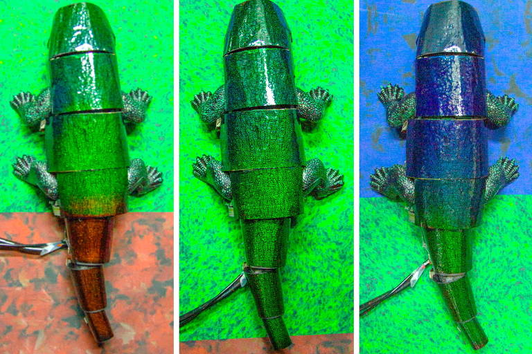 Três robôs que imitam um camaleão estão dispostos lado a lado, mostrando metade do cor de uma cor e metade de outra. O primeiro é metade verde e metade vermelho. O segundo é quase inteiramente verde, com a ponta do rabo vermelha. O terceiro é metade azul e metade verde.