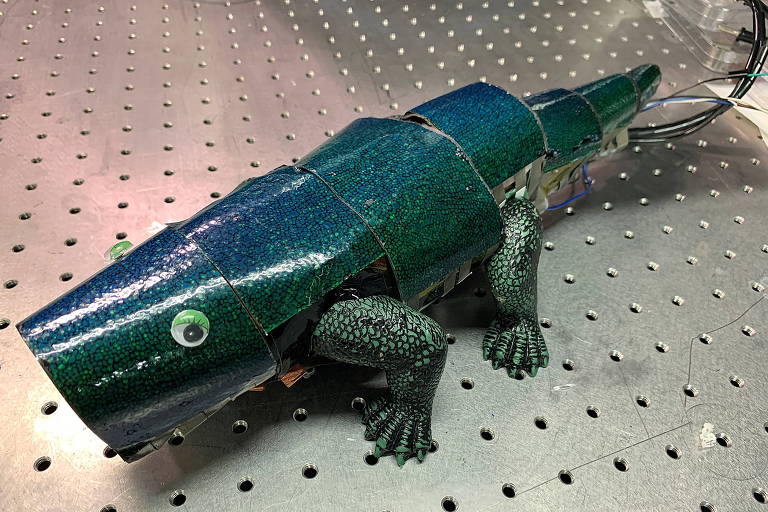 Robô que imita um camaleão, na cor verde escura, feito de um material semelhante ao plástico, com olhos artificiais, também plásticos, nas laterais
