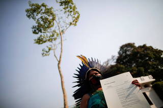 A Jatoba tree, originally from the Amazon, is placed in front of the Norwegian Embassy, during a protest by activists seeking symbolic refugee status for the plant, in Brasilia