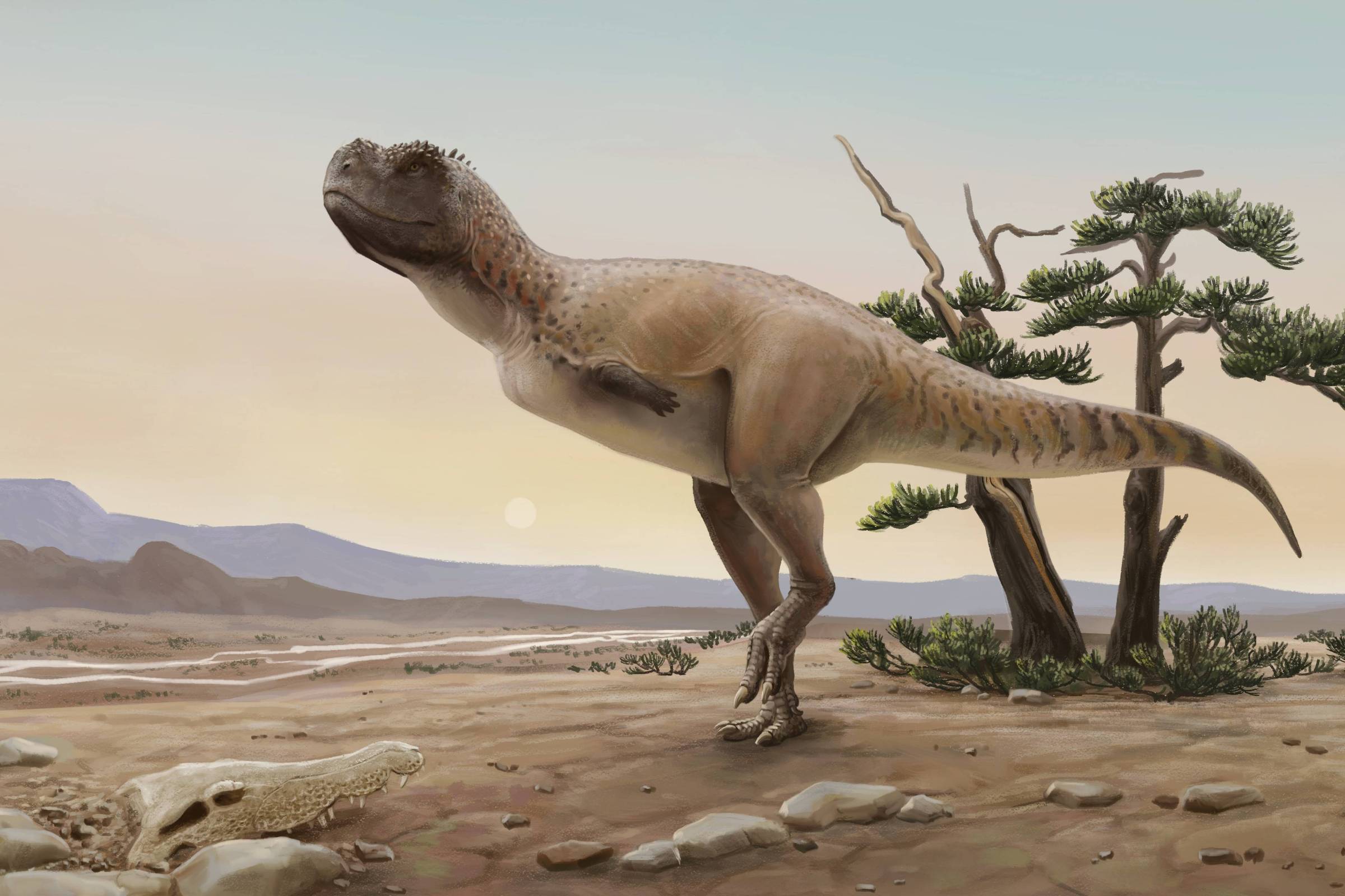 Nova espécie de dinossauro gigante é encontrada na Índia