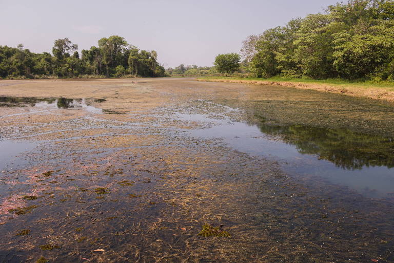 Imagem mostra lagoa de captação de água do rio Batalha, em Bauru, nesta quinta-feira (30), seca devido à estiagem prolongada