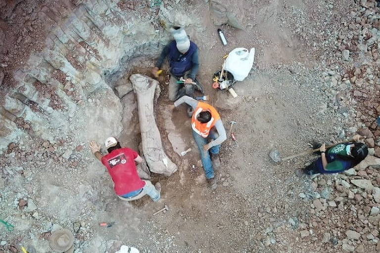 Fóssil de dinossauro gigante e ainda desconhecido é achado em obra de ferrovia no Maranhão