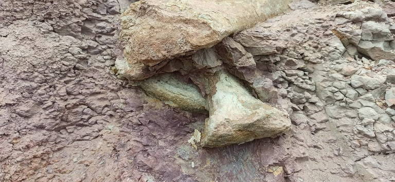 Nova espécie gigante de dinossauro é descoberta no Deserto do Atacama -  Revista Galileu