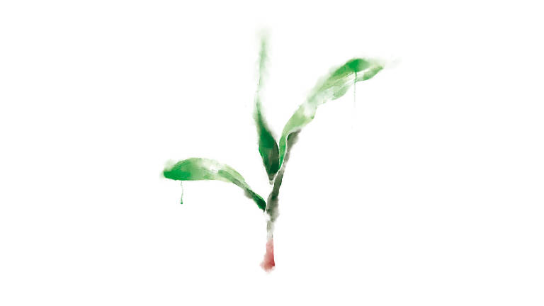 Ilustração de planta com folhas verdes longas e caule marrom em cores suaves