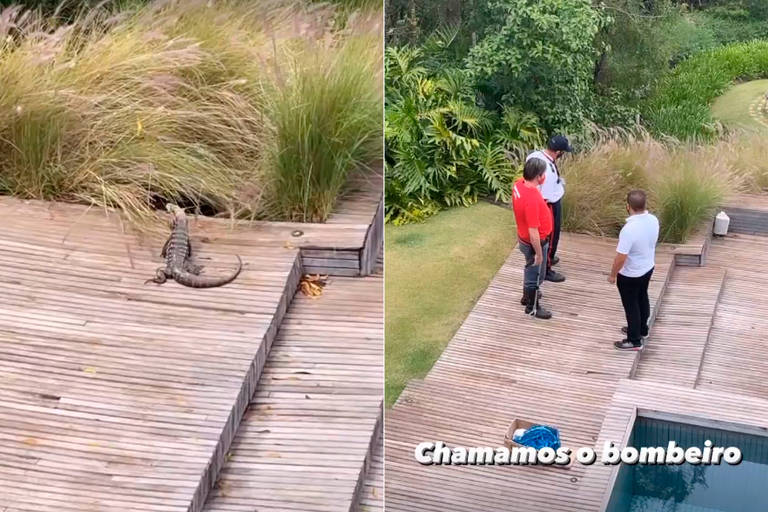 Marcos Mion posta vídeo de animal encontrado em sua residência