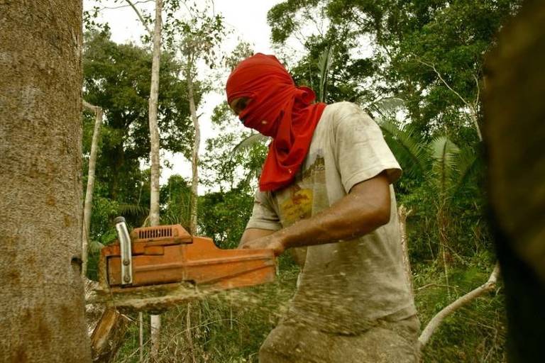 Imagem em primeiro plano mostra um homem com o rosto ​coberto com um pano vermelho, deixando só os olhos a mostra, segurando uma motoserra e cortando uma árvore