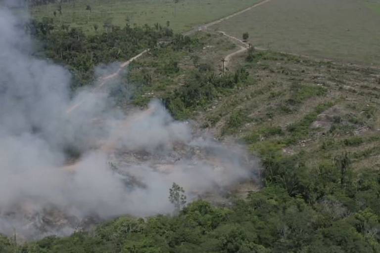 Imagem aérea mostra uma floresta sendo queimada. Uma fumaça branca toma conta do ambiente