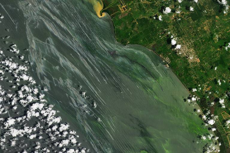 Imagem aérea mostra lago com a água verde 