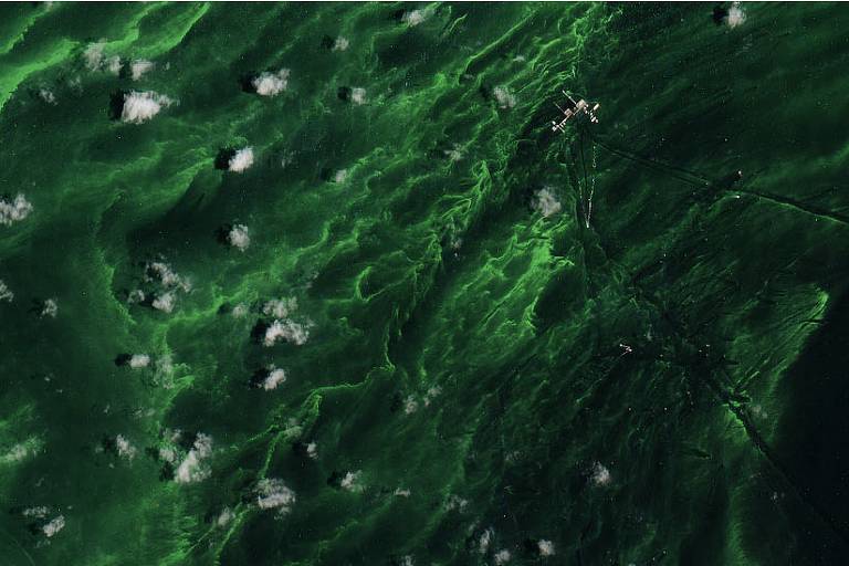 Imagem aérea mostra cor verde sendo refletida em um lago