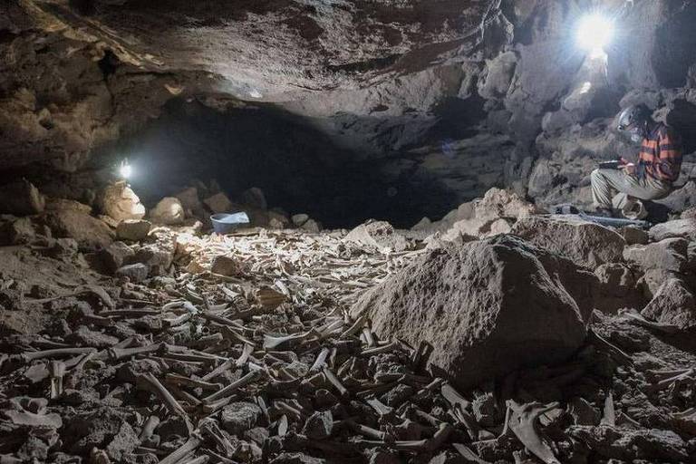 Imagem de dentro de uma caverna mostra ossos espalhados pelo chão. No canto superior direito, há um homem sentado.
