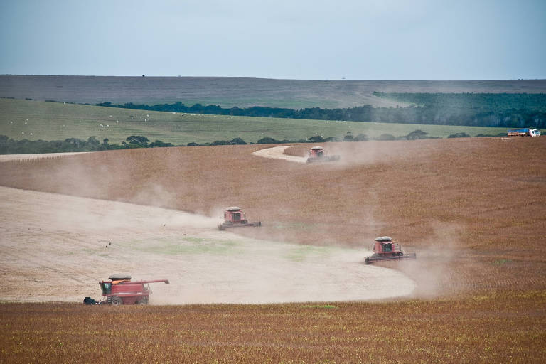 Máquinas atuam em propriedade rural com soja em Mato Grosso