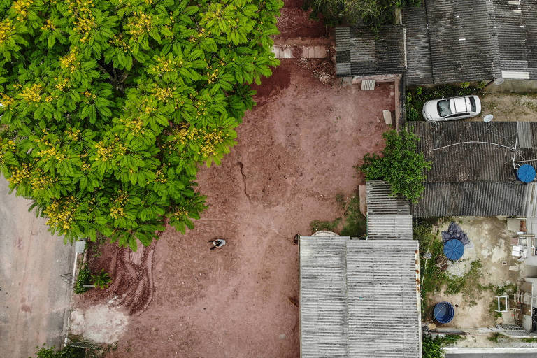 Porém, em fevereiro de 2021, a gestão da biblioteca recebeu uma carta-intimação extrajudicial; o documento informava que a casa do sepultador deveria ser desocupada devido à construção de novos túmulos no local