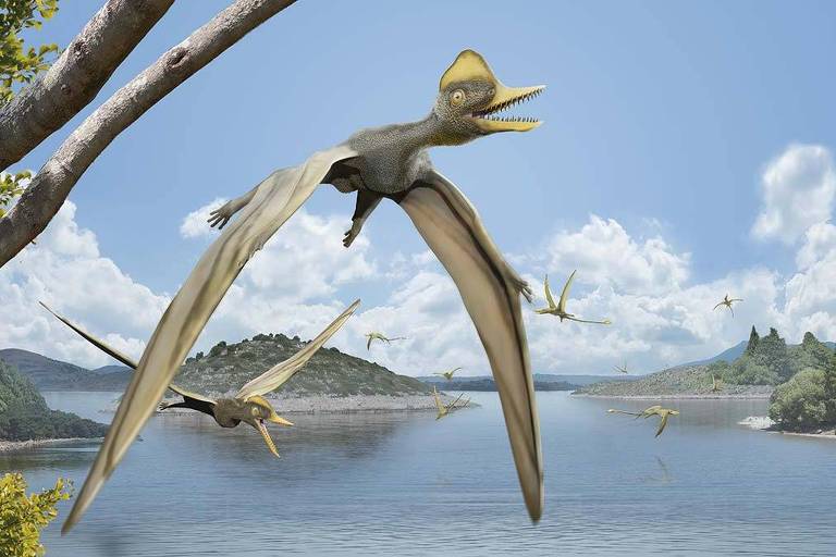 Estudo mostra como pterossauros desenvolveram voo com a eficiência de aviões