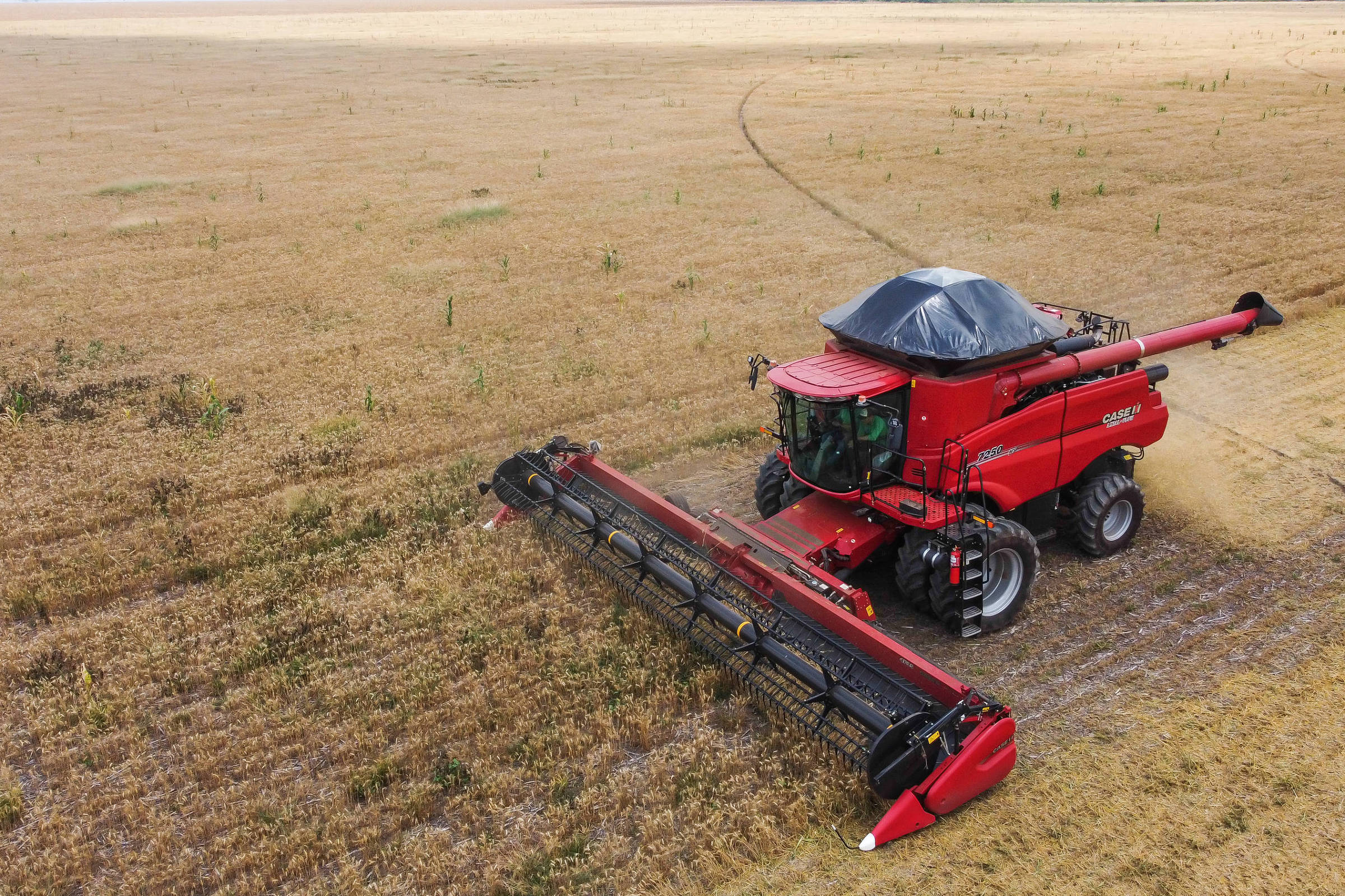 As 'sete maravilhas' que dão suporte ao agronegócio brasileiro