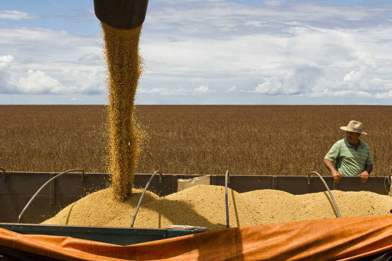 Agrícolas favorecem balança, mas gasto com fertilizante sobe 178%