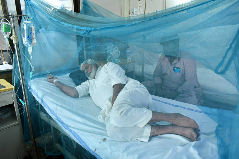Paciente com cabelos brancos deitado em maca coberta por tela azul de proteção contra mosquitos