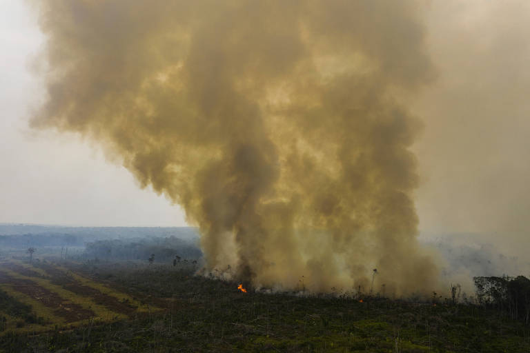 Imagem aérea mostra queimada em floresta