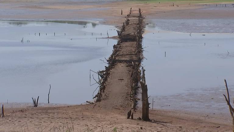 Antiga ponte boiadeira em Guaraci (SP), revelada pela seca no rio Grande