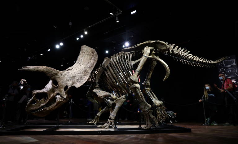 Imagem mostra esqueleto de dinossauro tricerátops exposto em uma sala