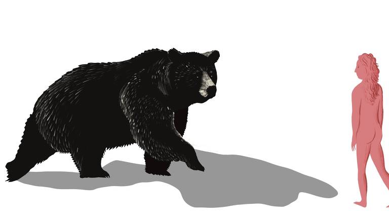 Ilustração representando um urso que se aproxima de uma mulher