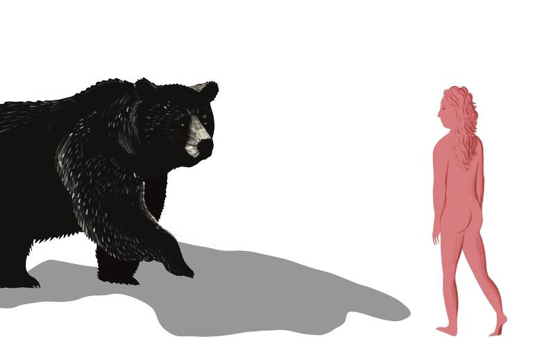 Antropóloga perdoa urso que a atacou em livro que iguala homens e animais