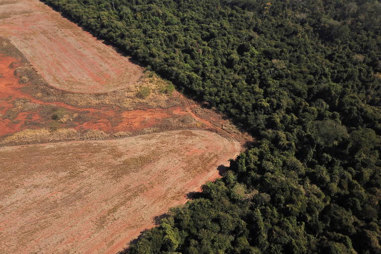 Vista aérea mostra área desmatada na fronteira entre a Amazônia e o Cerrado em Nova Xavantina, Mato Grosso