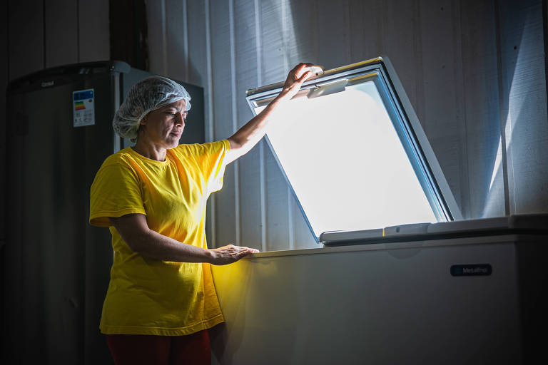 Usina solar leva energia limpa a Vila Restauração, no Acre