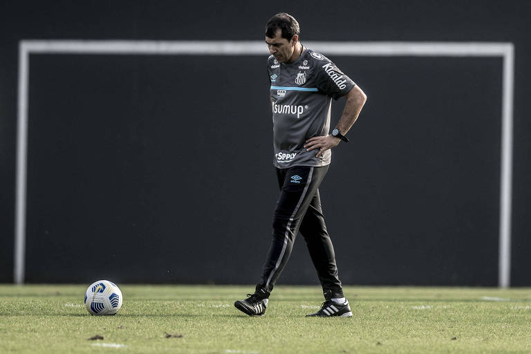 Técnico Fábio Carille espera por reforços para o Santos em 2022