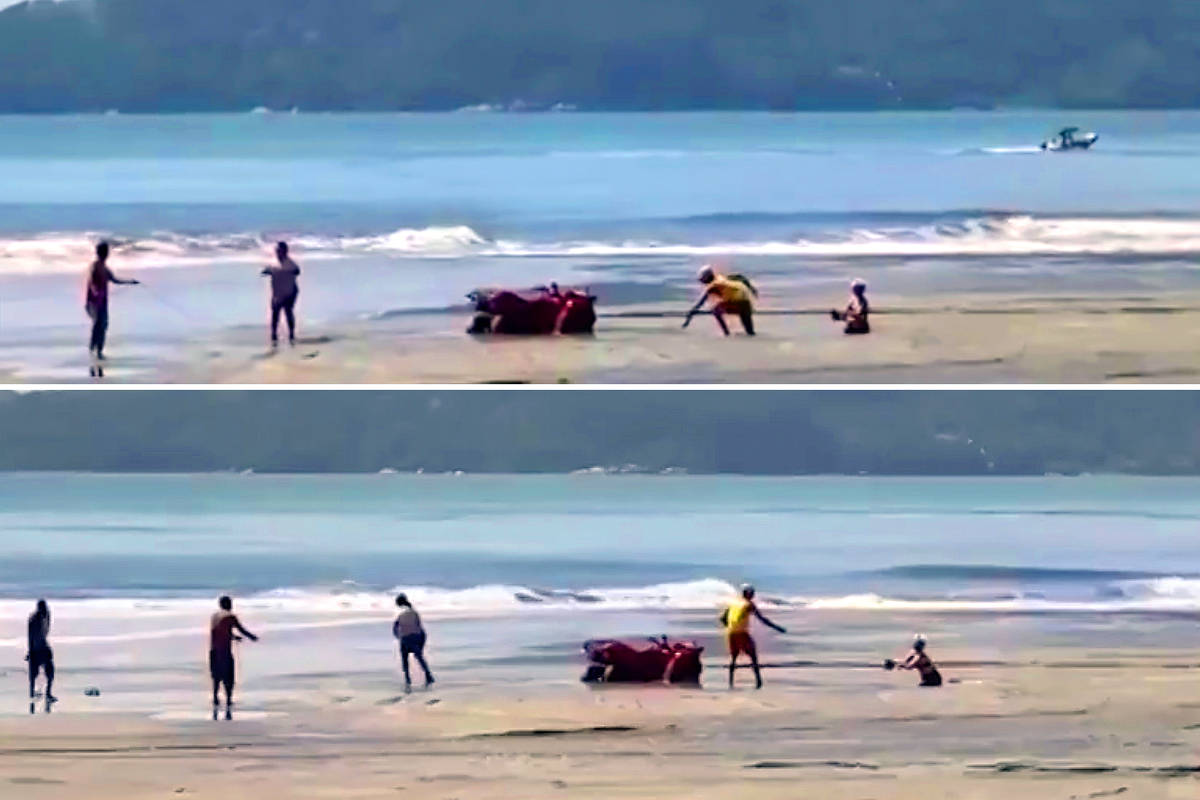 Mão afundando na areia movediça tentando tirar dicas para