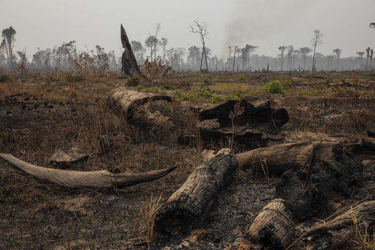 Desmatamento recente no município de Apui, no sul do Amazonas 