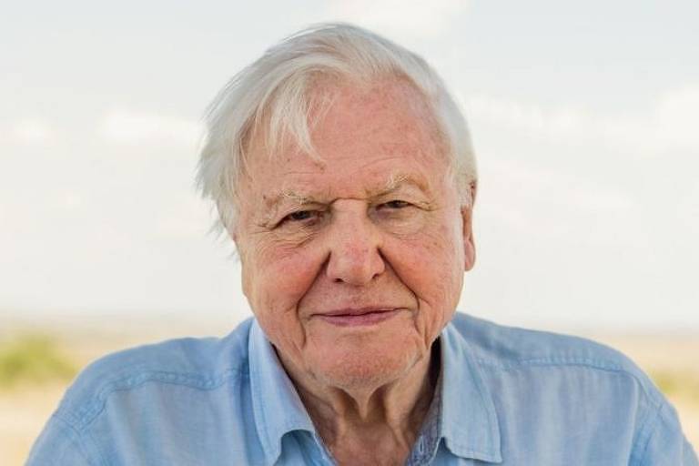 Sir David Attenborough, 95, falará na cúpula da COP26, que começa em 31 de outubro