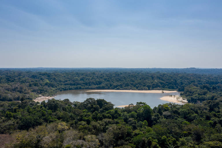 Área da Amazônia em Lábrea (AM), protegida pelo Projeto Fortaleza Ituxi, que recebe investimentos da Amaro para compensar emissões de carbono