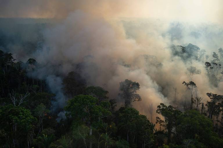 Desmatamento recorde em outubro contradiz discurso do Brasil na COP26
