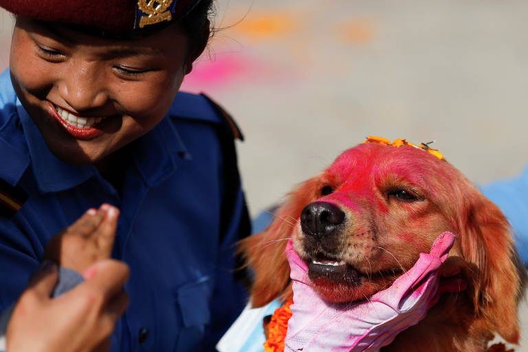 Festival homenageia cães no Nepal