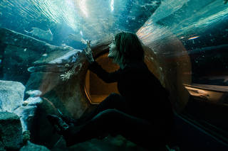 The actor Cobie Smulders at the New York Aquarium, Oct. 5, 2021. (Daniel Dorsa/The New York Times)