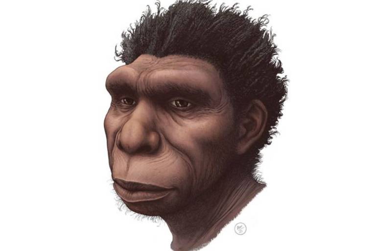 Ilustração do Homo bodoensis