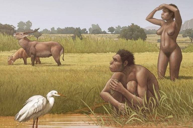 O Homo bodoensis pertence ao período chibaniano