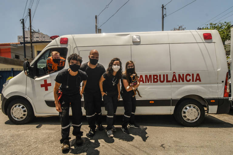 Em São Paulo, equipe de ambulância veterinária particular transporta pets