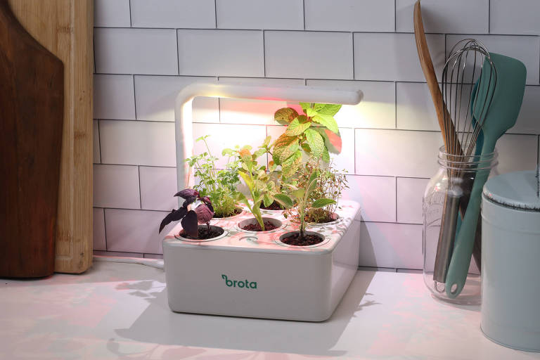 Estrutura de plástico que contém seis vasinhos com plantas, iluminados por uma lâmpada de LED. Está numa bancada ao lado de utensílios de cozinha