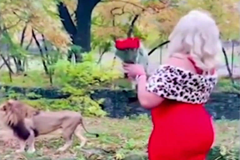Mulher pula a barreira na exibição de leões no zoológio do Bronx, nos Estados Unidos